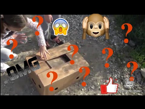 Video: Pogledajte što smo pronašli!