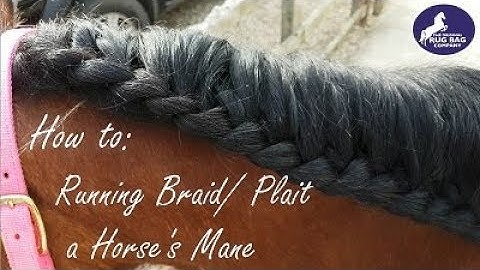 🐎 How to- Running Braid/Plait on a Horse