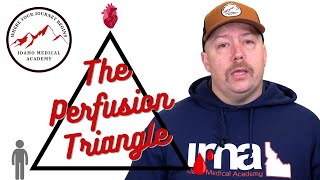 Shock and the Perfusion Triangle