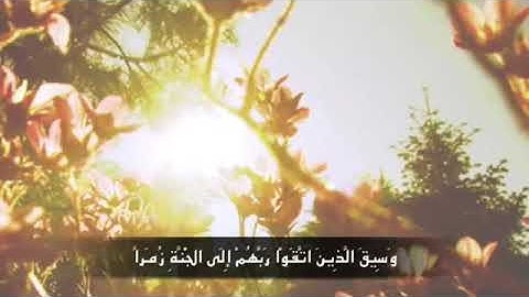سورة الزمر آية ٧٣ الى ٧٥ الشيخ ماهر المعيقلي البلوي