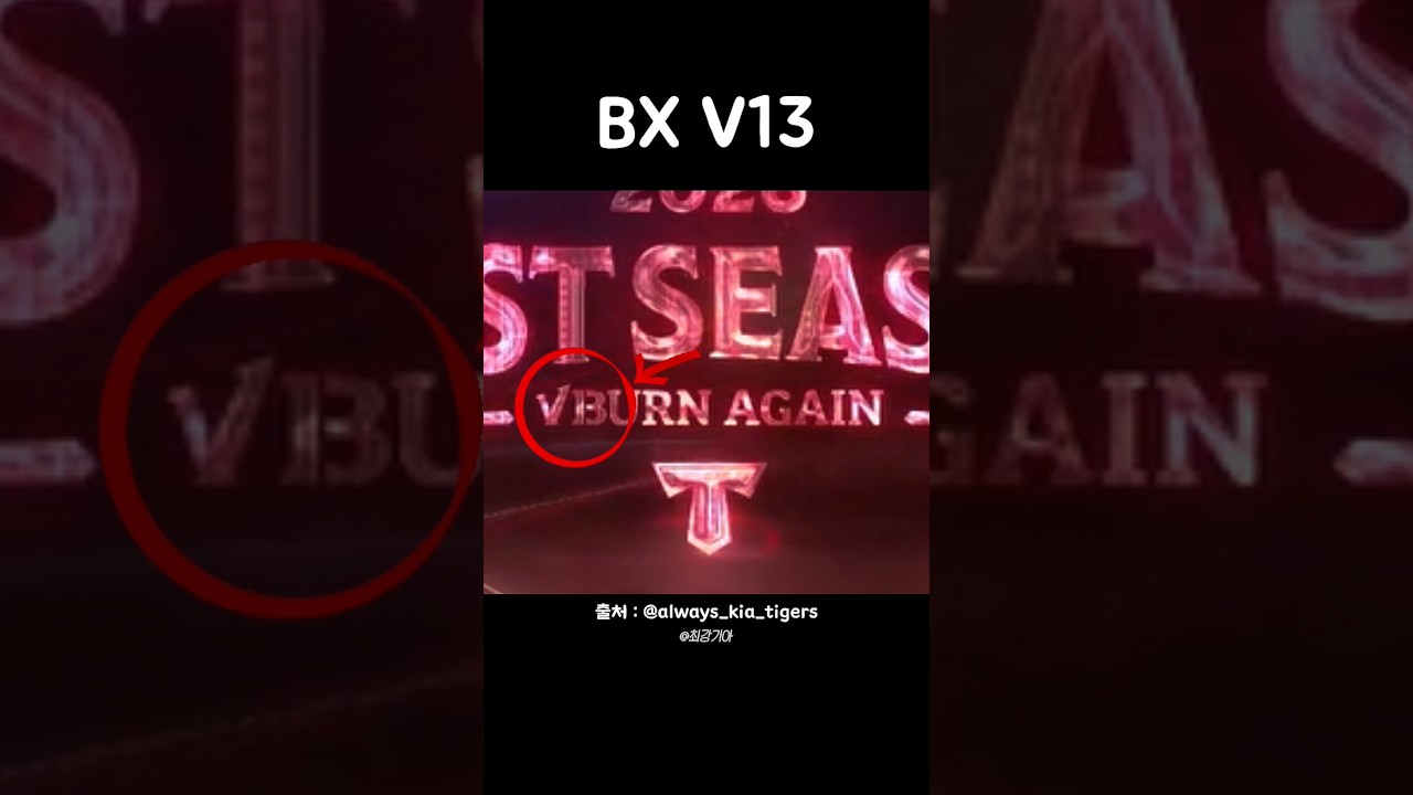 BX V13