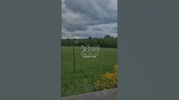 تلاوة خاشعة للشيخ محمد اللحيدان #اكسبلور