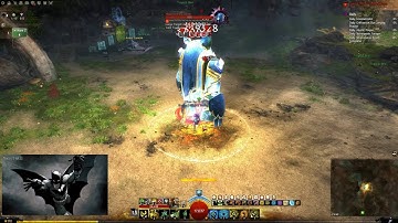 [HeLL] Guild Wars 2 - Druid Power and Condi DpS rotation