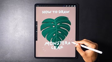 How to Draw a Monstera Leaf | Quick Tutorial ✨