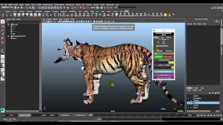 Tiger rig CDK