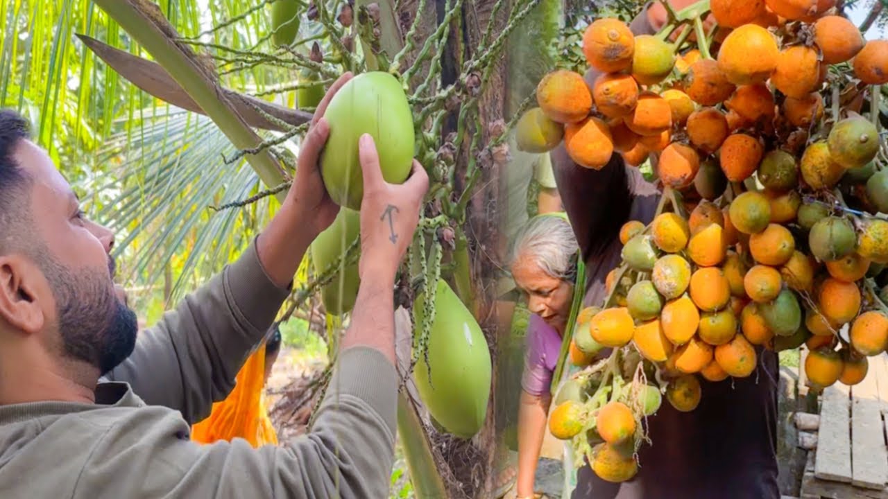 আমাদের আর সুপারি কিনতে হবে না😀 |