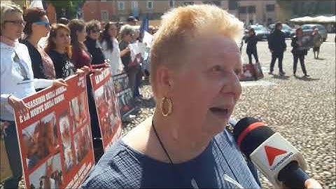Mantova, protesta contro la Mostra di Hermann Nitsch