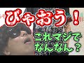 今最もトレンドなワード びゃおう! に触れるもこう【2023/10/31】