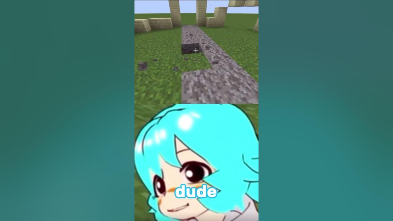 Sharkie doesn t know how to place blocks in minecraft youtube