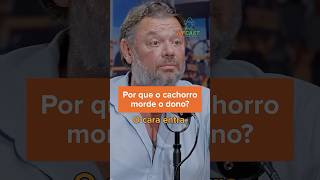 CACHORRO NÃO É GENTE #comportamentocanino #cachorro #educaçãocanina