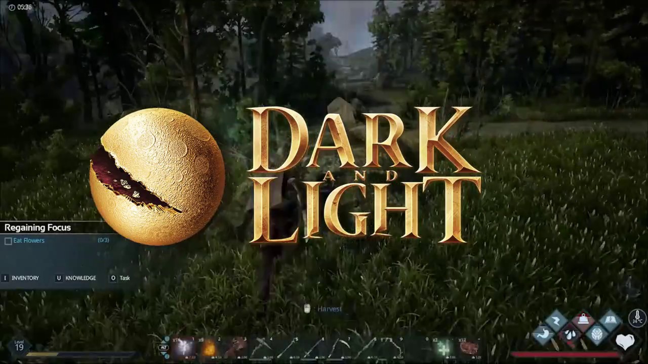 Dark and Light (PC) já tem magia, sobrevivência e RPG de primeira