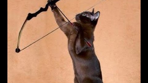 Easiest Way to One Shot Bulky End Game Heavies in Tactics Ogre Reborn