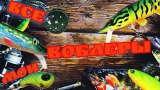 ✔️Обзор моих воблеров и попера🐟🦈