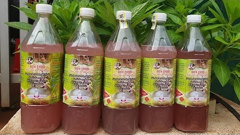 BUÔN DƯA LÊ CHÉM CHUỐI || Chia Sẻ Kinh Nghiệm Chăm Sóc Phong Lan = Dịch Chuối 