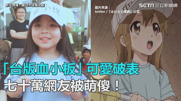 阿諾捏！「台版血小板軍團」療癒指數破表　七十萬網友被萌傻｜三立新聞網SETN.com - 天天要聞