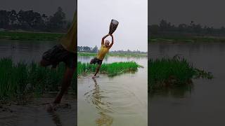 Amazing Cathing Big Satifish In Villege River #subscribe #shorts Resimi
