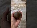 Clay into a chocolate ball | clay | shine #work #effort #patience #hours #glow #fun