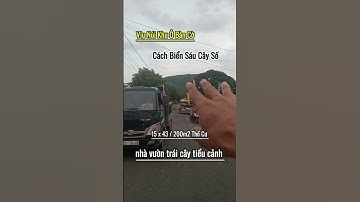 Nhà Gỗ Mái ngói vườn trái cây đủ loại Tiểu Cảnh Khu Dân Cư Viu núi / 641m2 _ 200m2 Thổ Cư#nhavuon