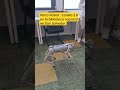 Perro Robot: Canelo 2.0 en La biblioteca nacional de San Salvador, El Salvador.  #elsalvador