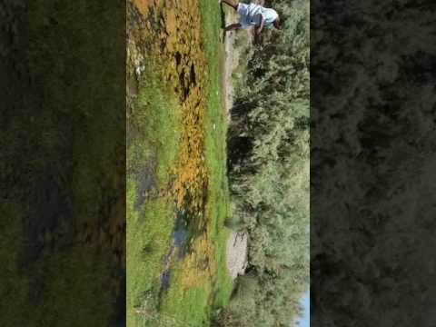 خيبر الشماليه