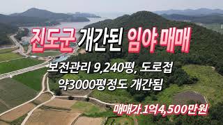[목포토지사랑 #155] 진도군 의신면 일부 개간된 임야매매 9240py, 보전관리 준보전산지, 매매가 1억4500만원 (3.3당 15700원)