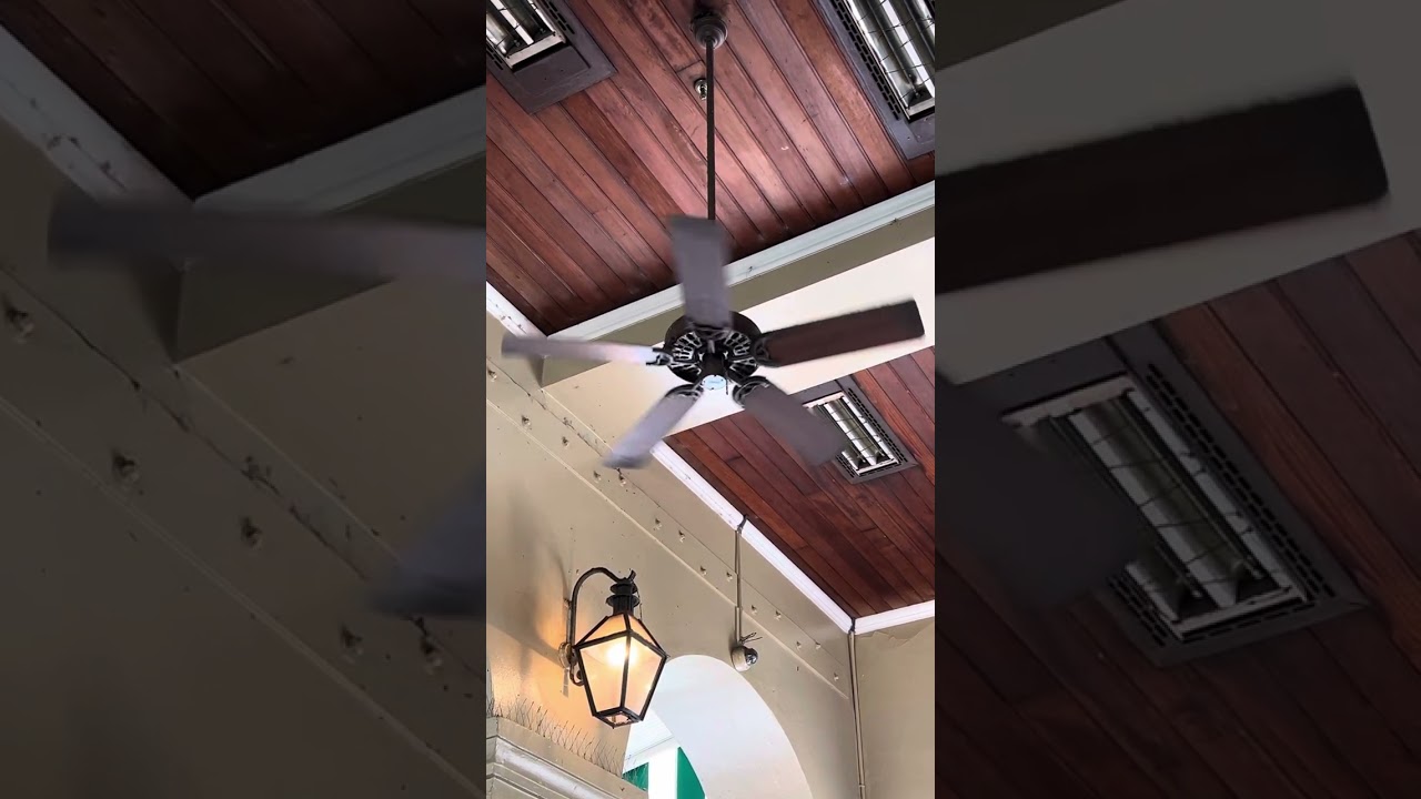 Fan at the Cafe Du Monde. French Quarter. New Orleans, Louisiana.