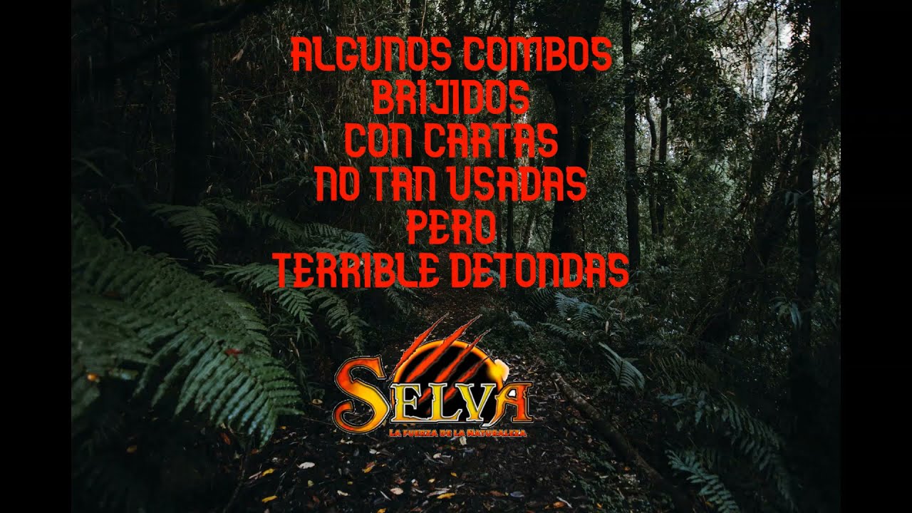 Algunos combos con Dragon de comodo - SELVA TCG