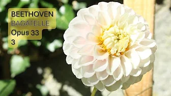 LUDWIG VAN BEETHOVEN - BAGATELLE - OPUS 33 No 3