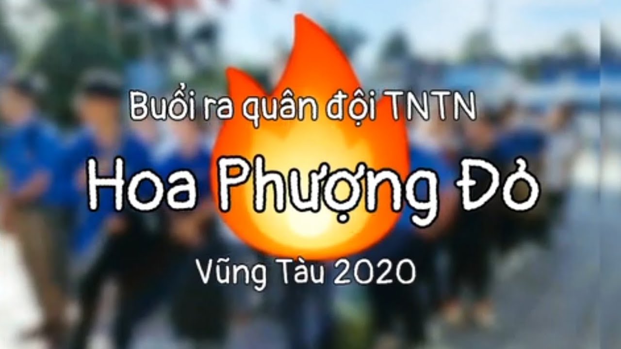 số điện thoại khách sạn hoa phượng đỏ vũng tàu 2022 Update Buổi Ra Quân Đội Thanh Niên Tình Nguyện Hoa Phượng Đỏ - TP Vũng Tàu - Mùa Hè 2020