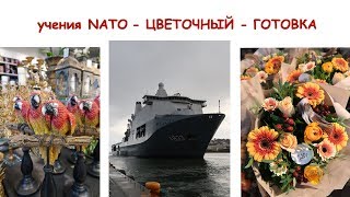 СОФИЯ ЗАБОЛЕЛА 🤕 УЧЕНИЯ NATO В ТРОНХЕЙМЕ🇳🇴 ЦВЕТОЧНЫЙ МАГАЗИН