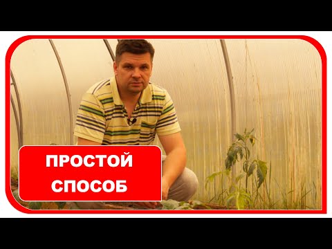 Вы это знали?