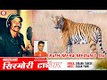 Come back sirmouri tiger  rath mera medano da by surjan thakur  gagan panki  pahari records
