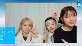 Cignature 시그니처 Jeewon Semi Belle - My Diary