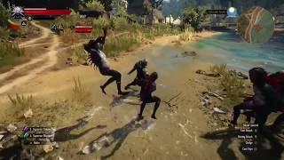 Witcher 3 Wild Hunt: Fun and Powerful Metamorphosis build! screenshot 4