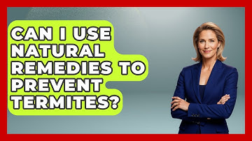 Can I Use Natural Remedies to Prevent Termites? | Insects and Invaders