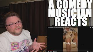 A Comedy Musician Reacts | Party Dog and Ur fugly (relatively) by Tom Cardy [REACTION]