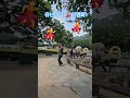 #유난이다 #이명화 #shorts #포천산정호수 💃💃💃