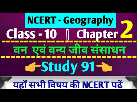 वीडियो: देश में कृन्तकों से खुद को कैसे बचाएं?