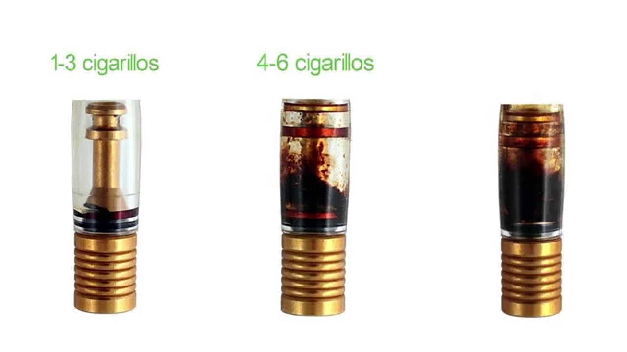 Lote de 5 cajas (10 unidades cada una) de boquillas para tabaco Filtros  para tabaco Boquilla Targard No contiene nicotina : : Salud y  cuidado personal