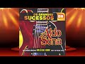 Aldo sena  os grandes sucessos  cd completo