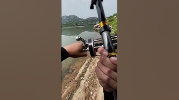 Câu Cá Không Cần Dùng Mồi - Camera Soi Cá 3 #shorst