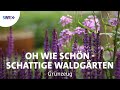 Farne, Moose und Gräser - schattige Waldgärten | SWR Grünzeug