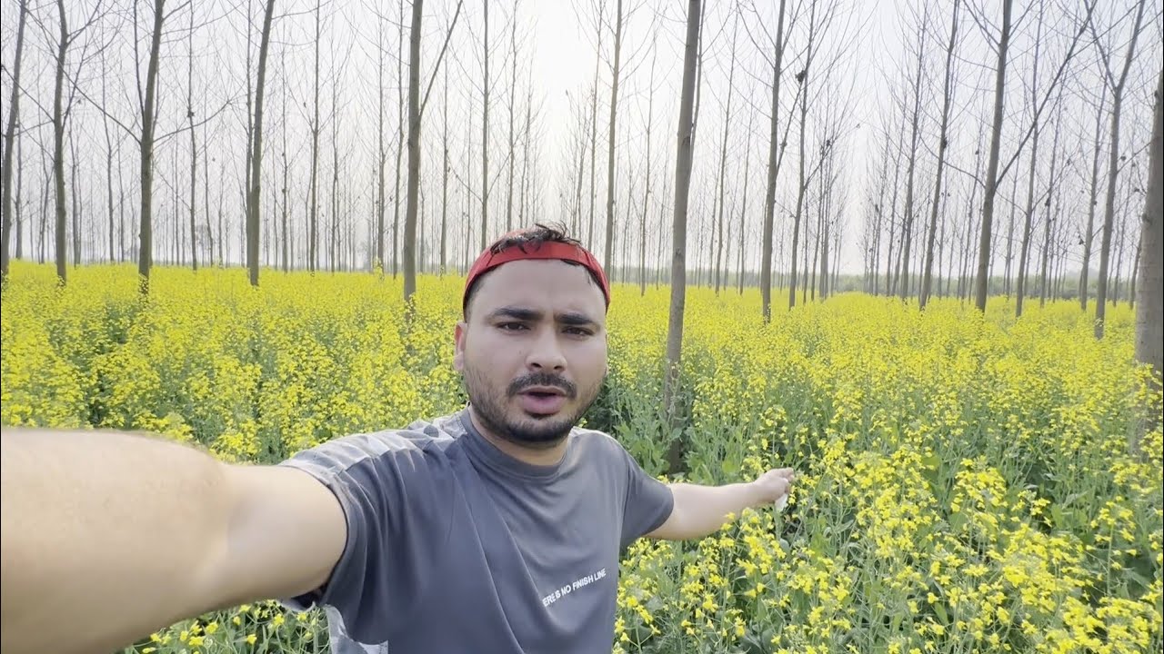 Chohla Sahib vs Frandipur Kabaddi Match Arshdeep Chohla 