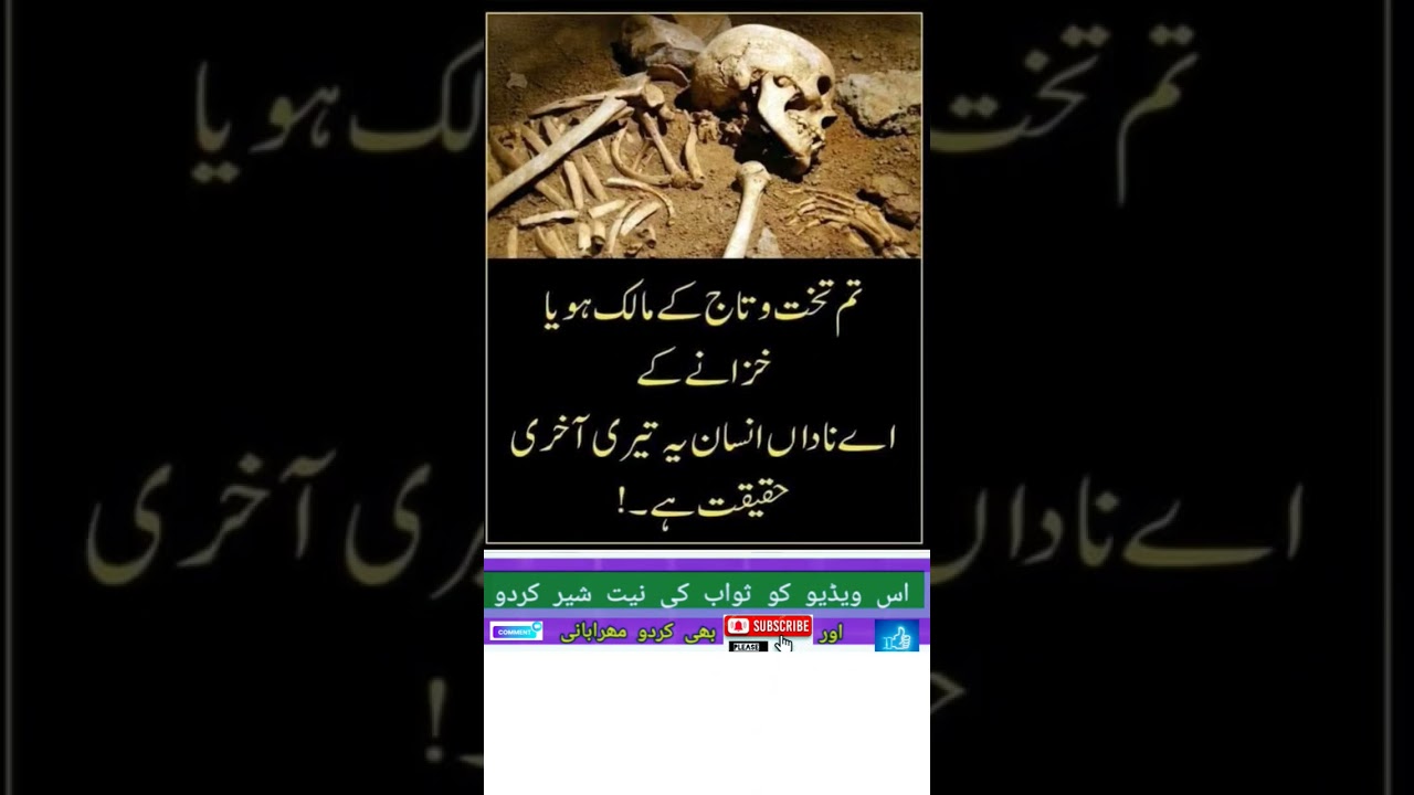 Best Islamic Quotes || Urdu Quotes ||🔥💯🤷