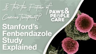Is This The Future Of Cancer Treatment? Stanfords Fenbendazole Study Explained