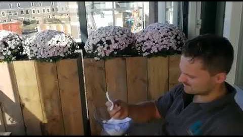 video 1509876875