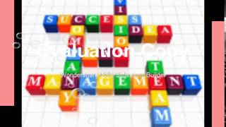 Management Analyst Career
