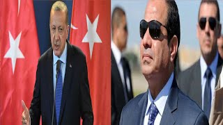 الرئيس السيسى لا يعطى لأردوغان أى قيمة .. اعلامى مصرى يكشف مفاجأة