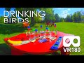 Drinking Birds: Escape Your Stress. Focus On The Drinking Birds.