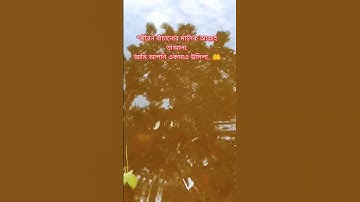 #القارئ_عبدالرحمن_مسعد  *জীবন বাঁচানোর মালিক আল্লাহ তাআলা #ولاتجادلوا_اهل_الكتاب #عبدالرحمن_مسعد